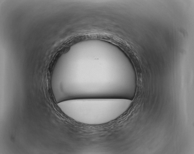 X0000112741493200908201023