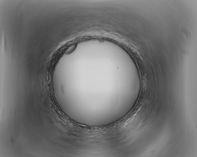 X0000112741494200908201023