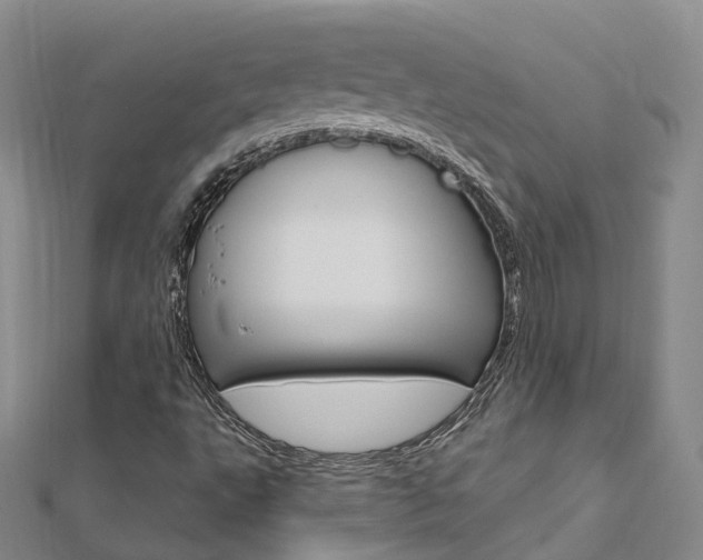 X0000112741495200908201023
