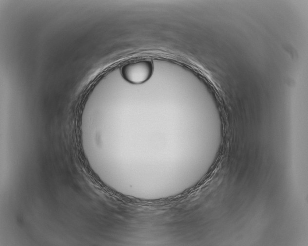 X0000112741496200908201023
