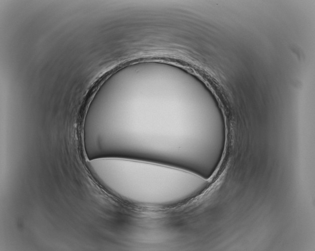 X0000112741497200908201023