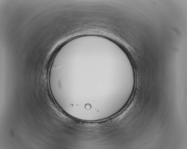X0000112741498200908201023