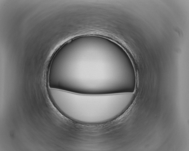 X0000112741500200908201023