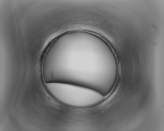 X0000112741501200908201024