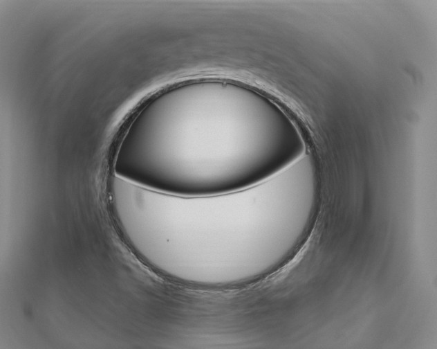 X0000112741502200908201024