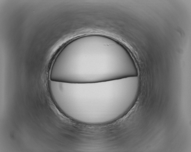 X0000112741503200908201024