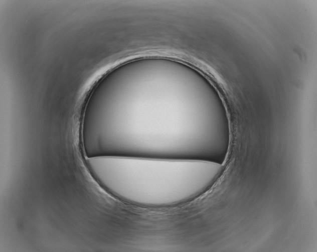 X0000112741504200908201024