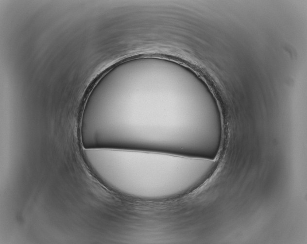 X0000112741505200908201024