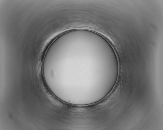 X0000112741507200908201024