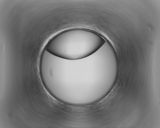 X0000112741508200908201024