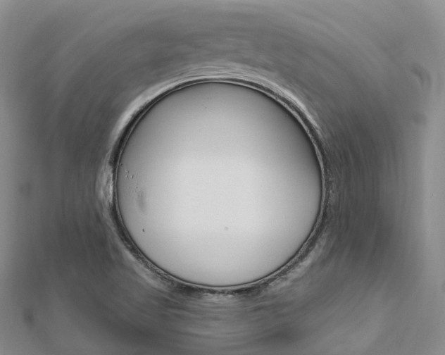 X0000112741509200908201024