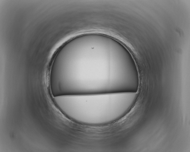 X0000112741510200908201024