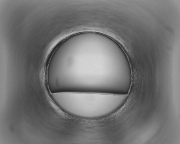 X0000112741511200908201024