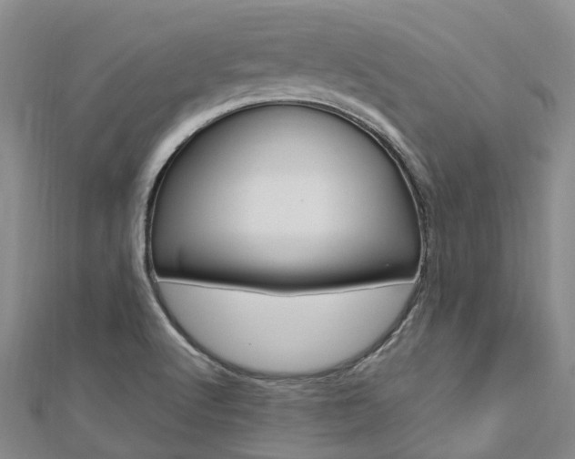 X0000112741512200908201024