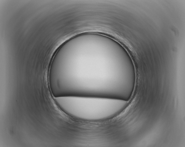X0000112741513200908201024