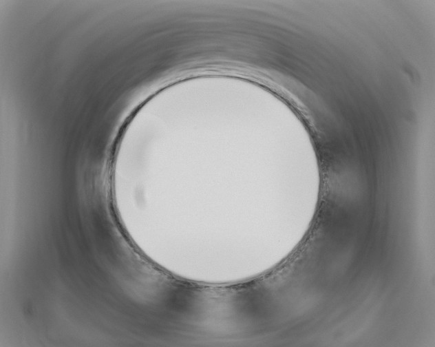 X0000112741514200908201024