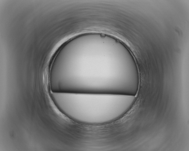 X0000112741515200908201024