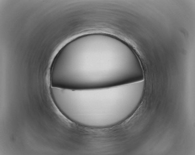 X0000112741516200908201024