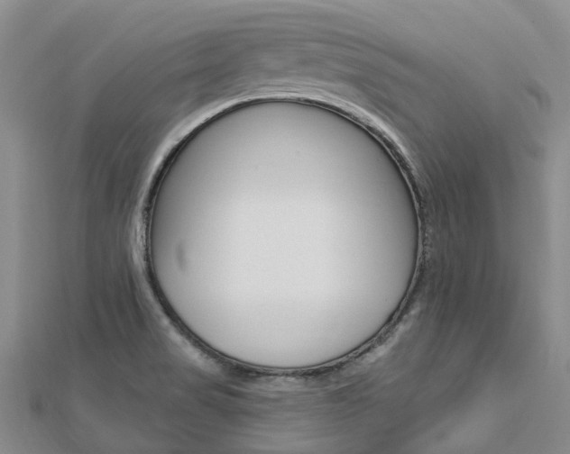 X0000112741517200908201024