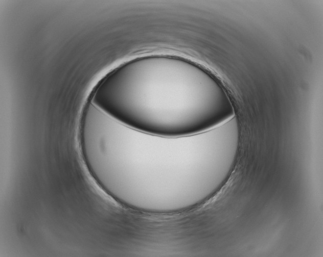 X0000112741518200908201024