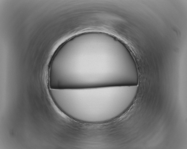X0000112741519200908201024