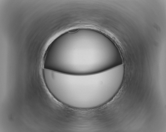 X0000112741520200908201024