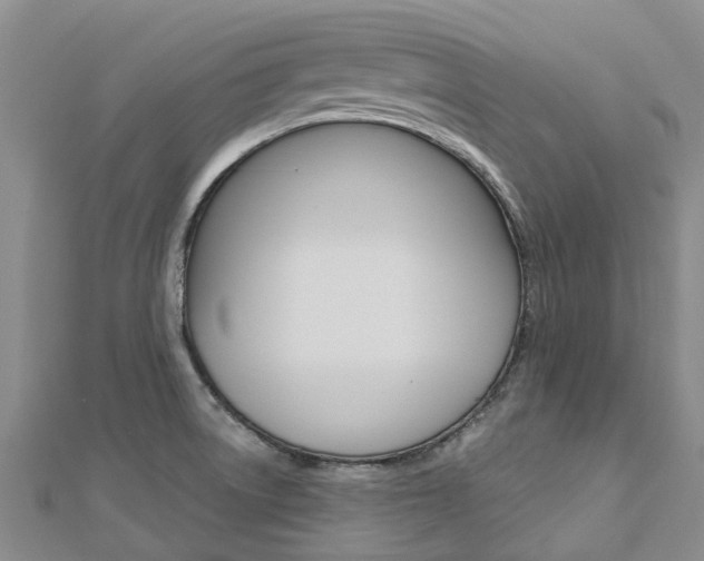 X0000112741522200908201024