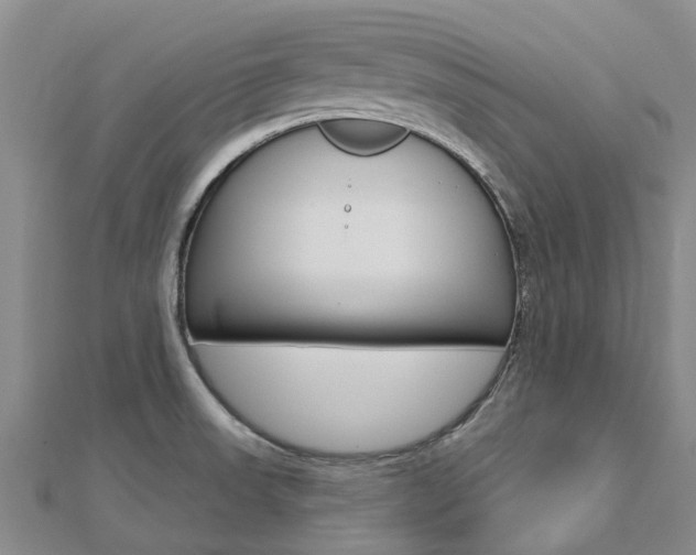 X0000112741523200908201024