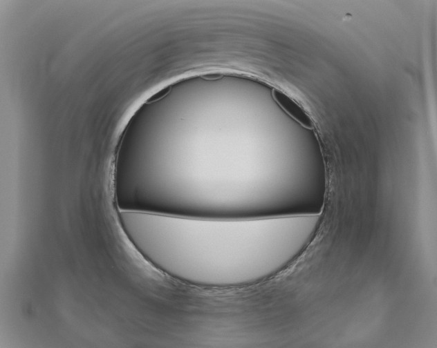 X0000112741524200908201024