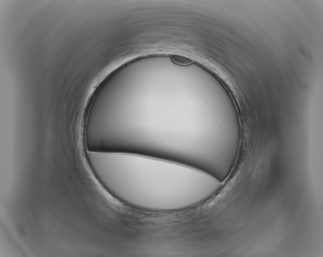 X0000112741525200908201024