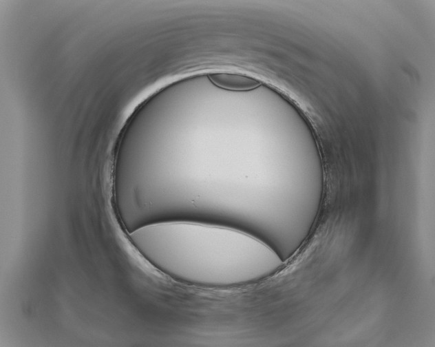 X0000112741526200908201024