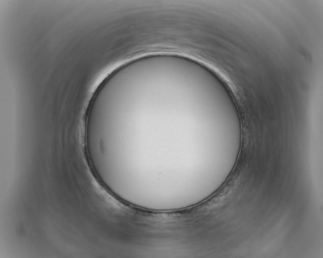 X0000112741527200908201024