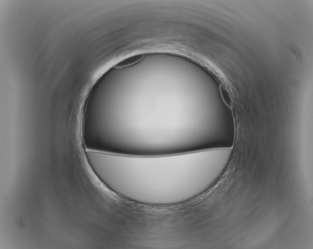 X0000112741528200908201024