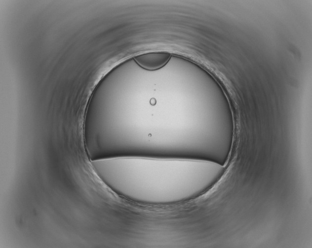 X0000112741529200908201024
