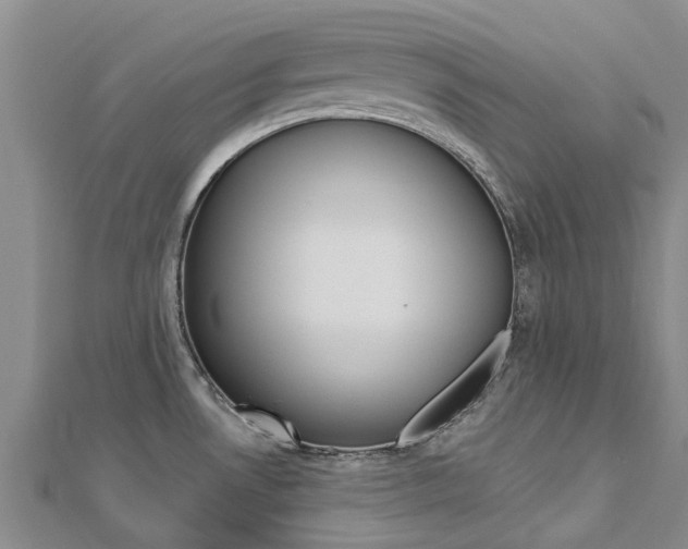 X0000112741530200908201024