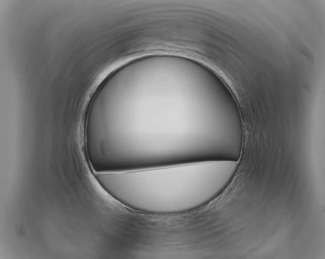 X0000112741531200908201024
