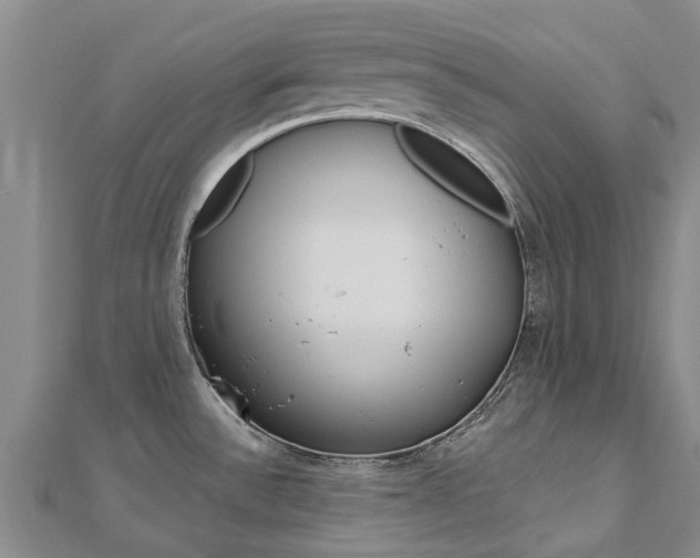 X0000112741532200908201024