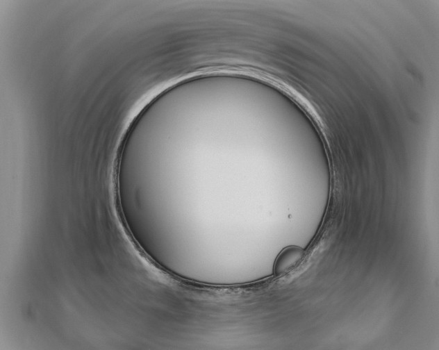 X0000112741533200908201024