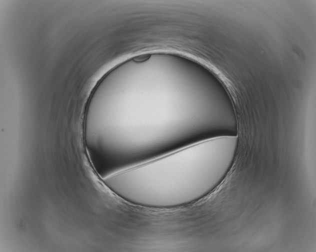 X0000112741534200908201024