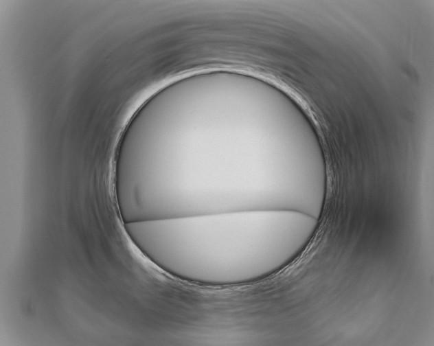 X0000112741535200908201024