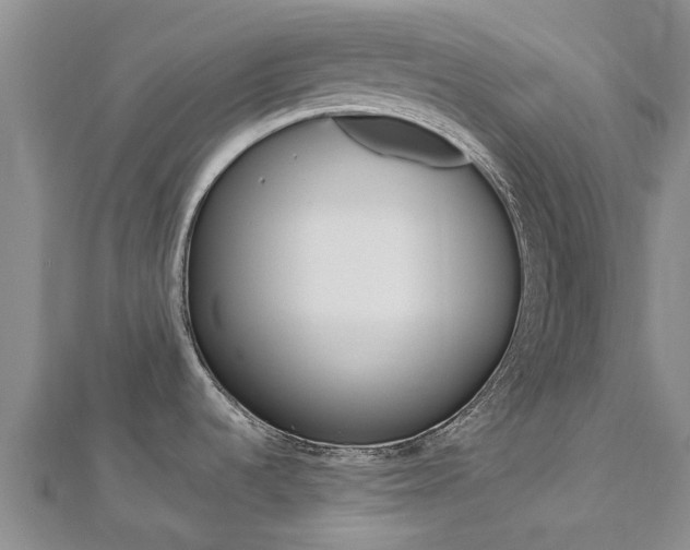 X0000112741536200908201024
