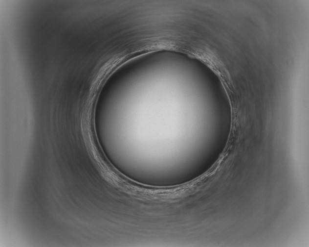 X0000112740001200908201356