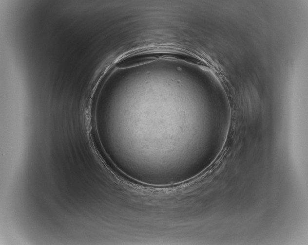 X0000112740002200908201356