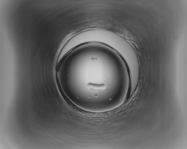 X0000112740003200908201356