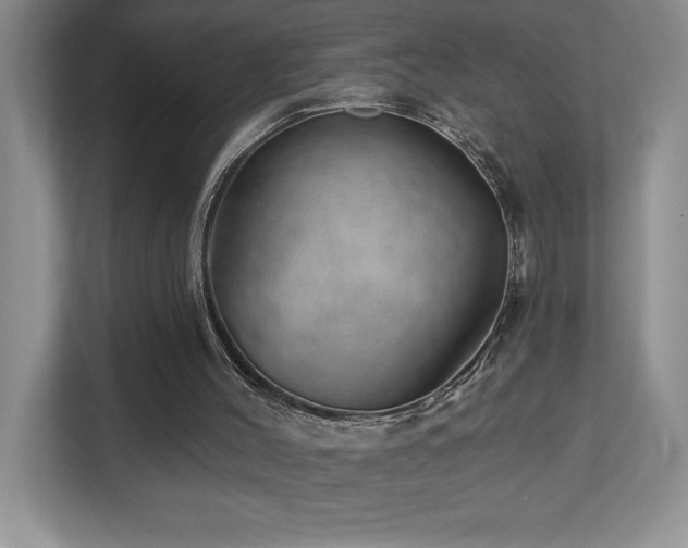 X0000112740004200908201356