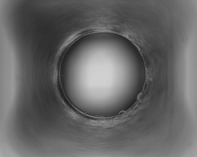 X0000112740005200908201356