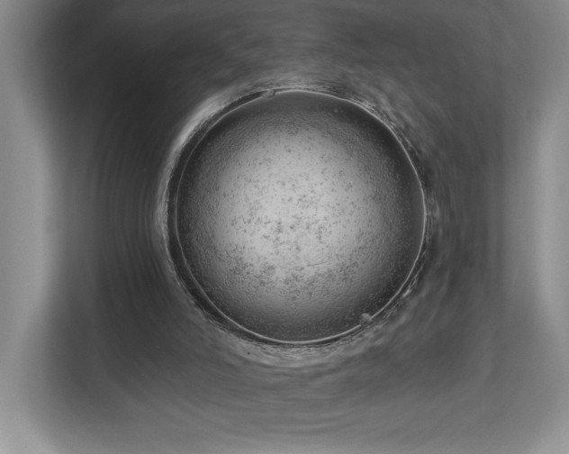 X0000112740006200908201356