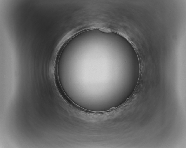 X0000112740007200908201356