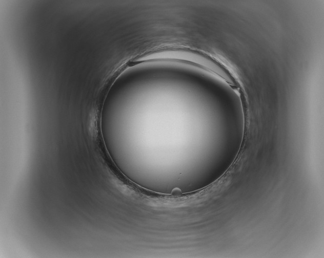 X0000112740009200908201356