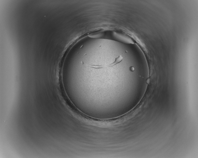 X0000112740010200908201356